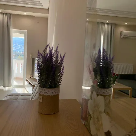 Rosa'S Apartments Lefkáda Zewnętrze zdjęcie